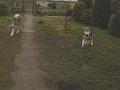 Aleshanee 2-2009 018